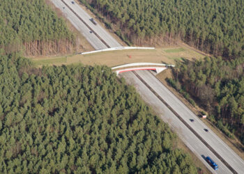 Wildlife Bridges: An Effective Way to Reduce Animal-Vehicle Crashes