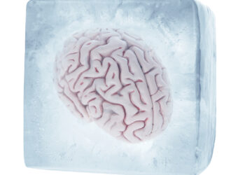 A Timeless Question Answered: What causes Brain Freeze?
