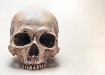 The lifelike human skulls you can eat your breakfast from