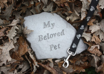 Be careful when choosing to have your pet cremated