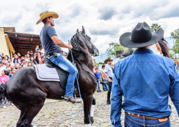 Is it against the law to ride a horse while intoxicated?