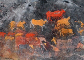 The balance between mankind and animals overtime